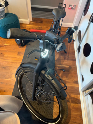 HARLEY DAVISON RUSH CITY SERIAL 1 2021