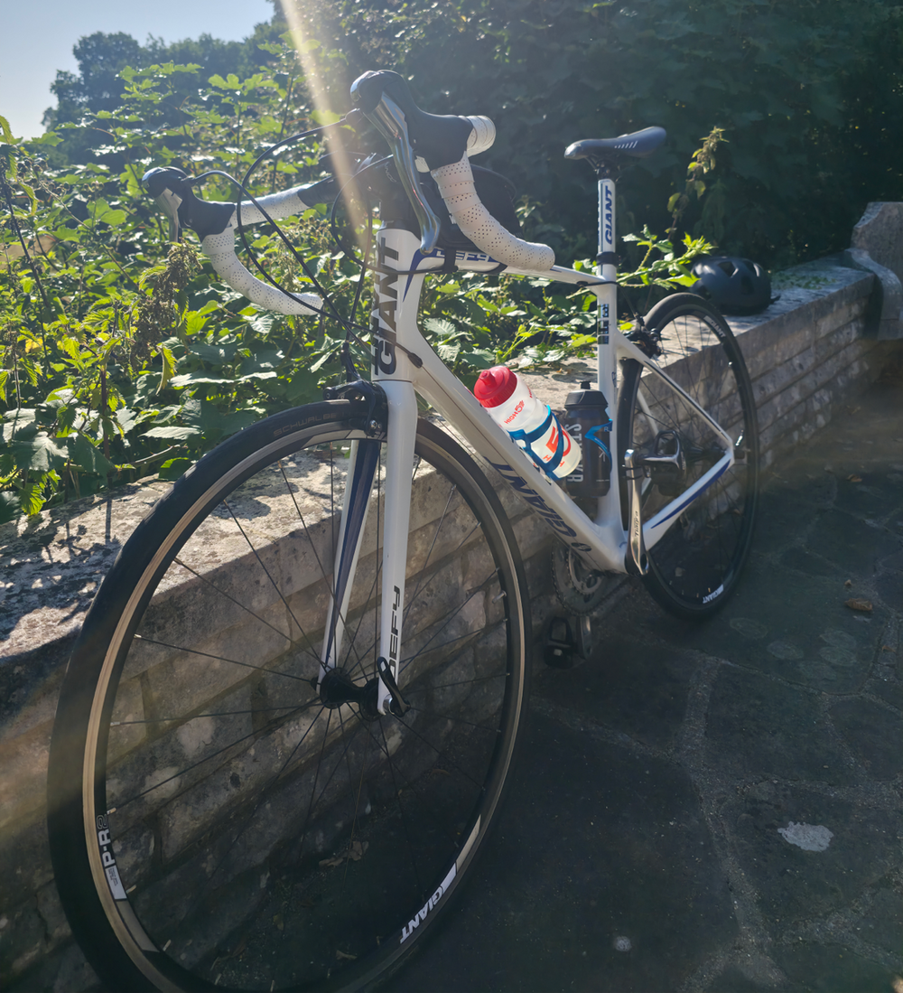 Giant Defy Composite 3 2013