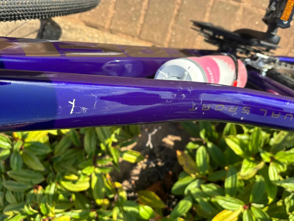Trek Dual Sport 2 Women's 2021
