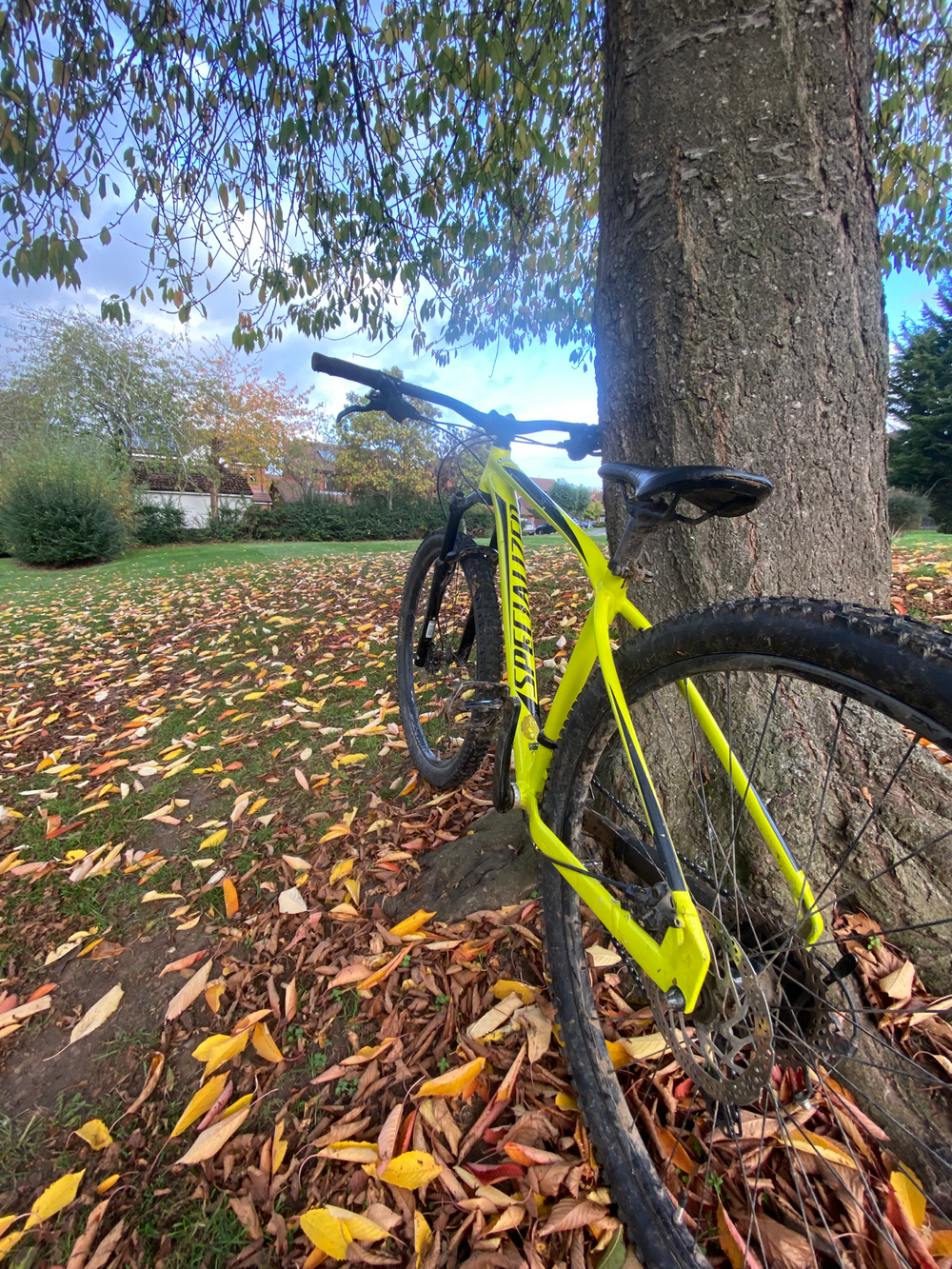 Specialized Rockhopper Comp 29 2015 2016