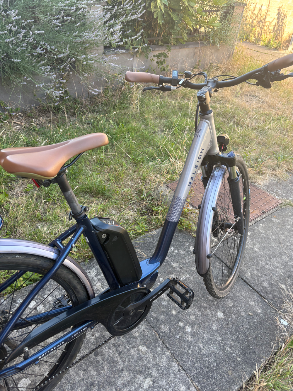 Raleigh Array Lowstep 2022