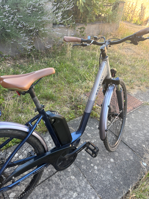 Raleigh Array Lowstep 2022