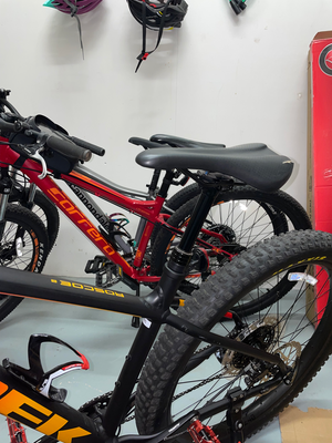 Trek Roscoe 8 2022