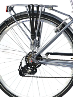 Raleigh Pioneer Low Step Frame 2021