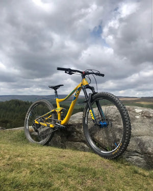 Liv Pique SX 2 2018