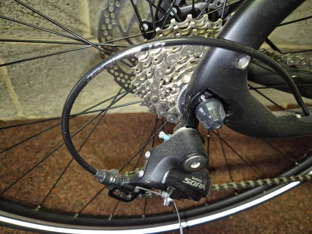 Pinarello Treviso Carbon Disk 2020