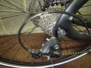 Pinarello Treviso Carbon Disk 2020