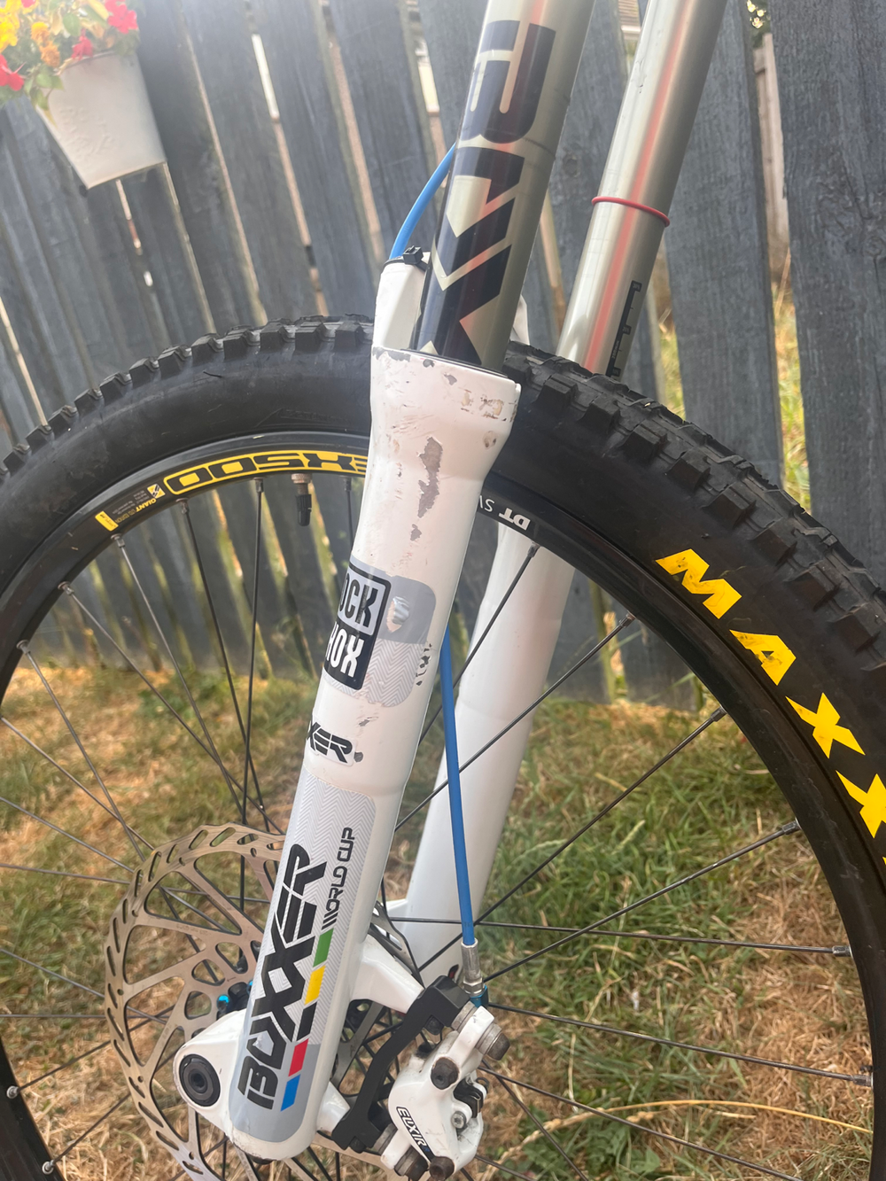 Giant Glory Advanced Downhill 2024