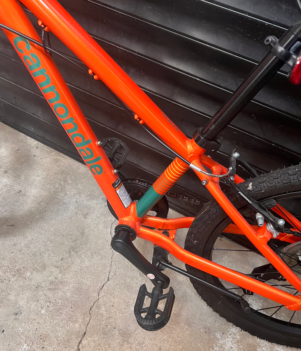 Cannondale Boys Trail 20 2020