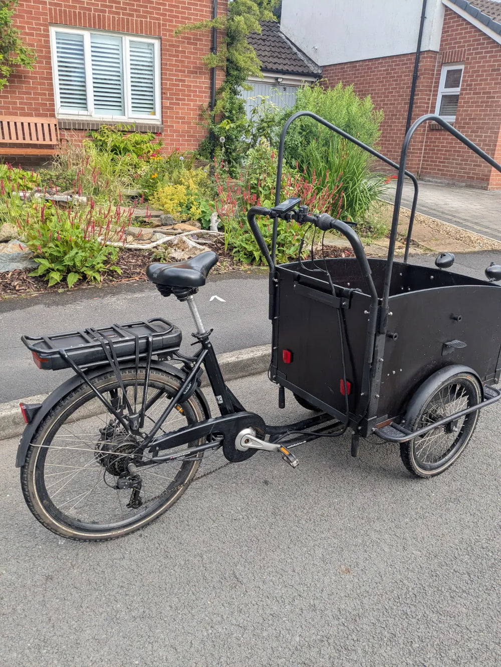 AmCargo Ultimate Curve  2021