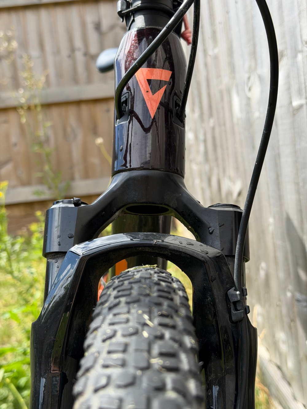 Giant Revolt X, Advanced Pro 1 2023
