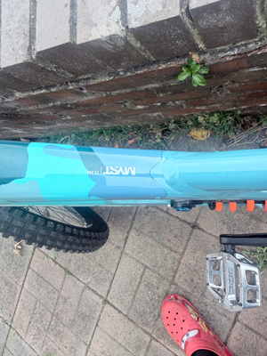 Saracen Downhill