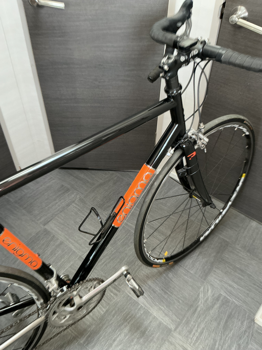Enigma Extensor 2012