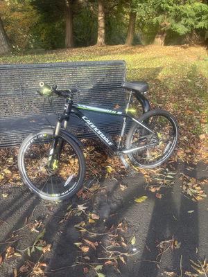 Cannondale Trail SL 4 2012
