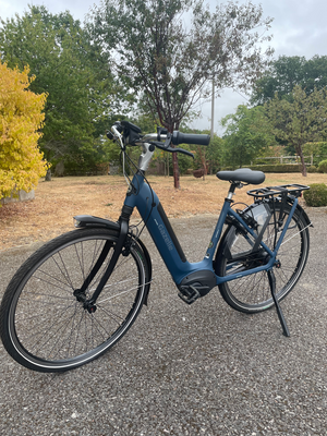 Gazelle Grenoble C8 HMB Electric 2022