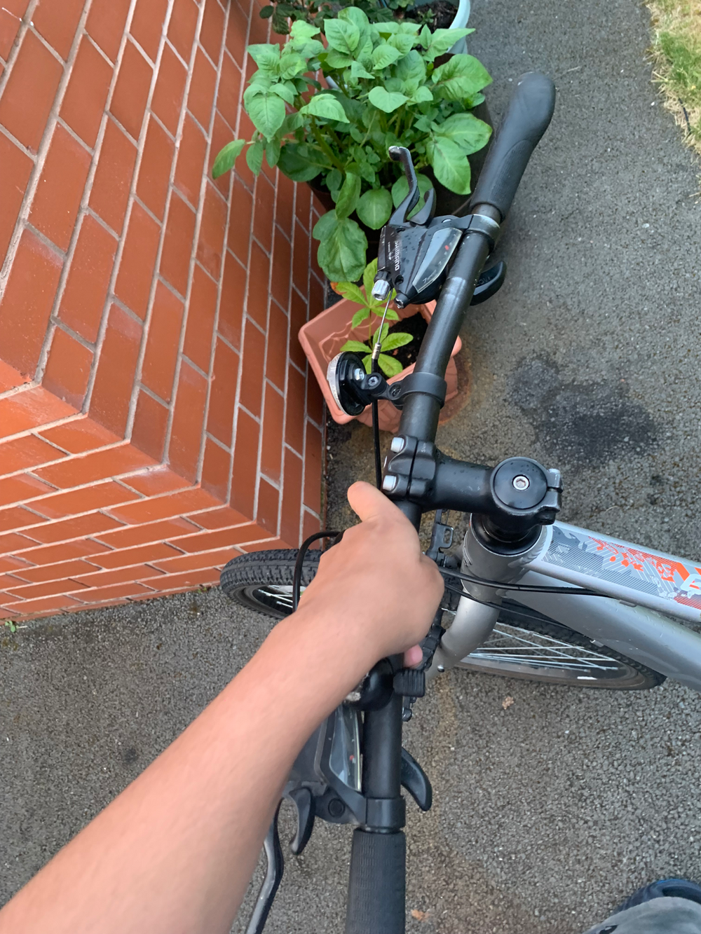 Carrera Parva 2020