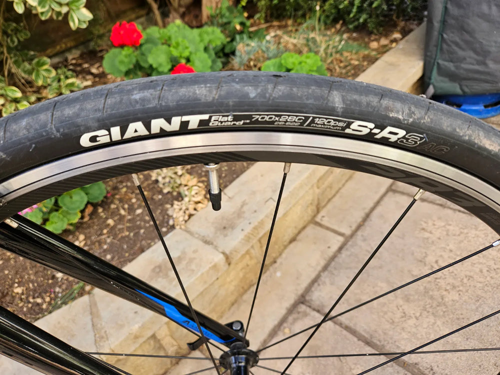 Giant Contend 2 2020