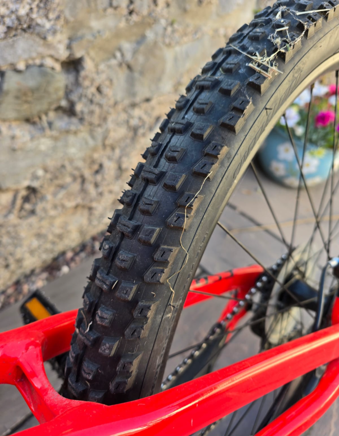 Specialized Men's Camber 29 2018