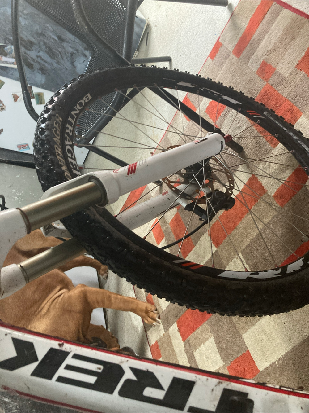 Trek Top Fuel 8 2010