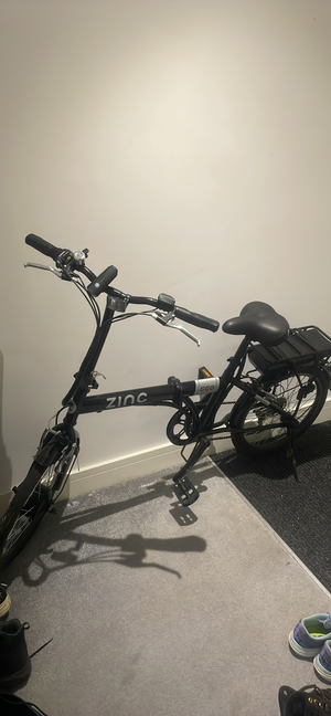 Zinc 20 Inch Wheel Size Eco Pro Unisex 36V Electric Bike