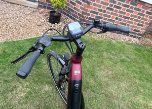 Raleigh Motus Grand Tour Lowstep Hub Gear 2022