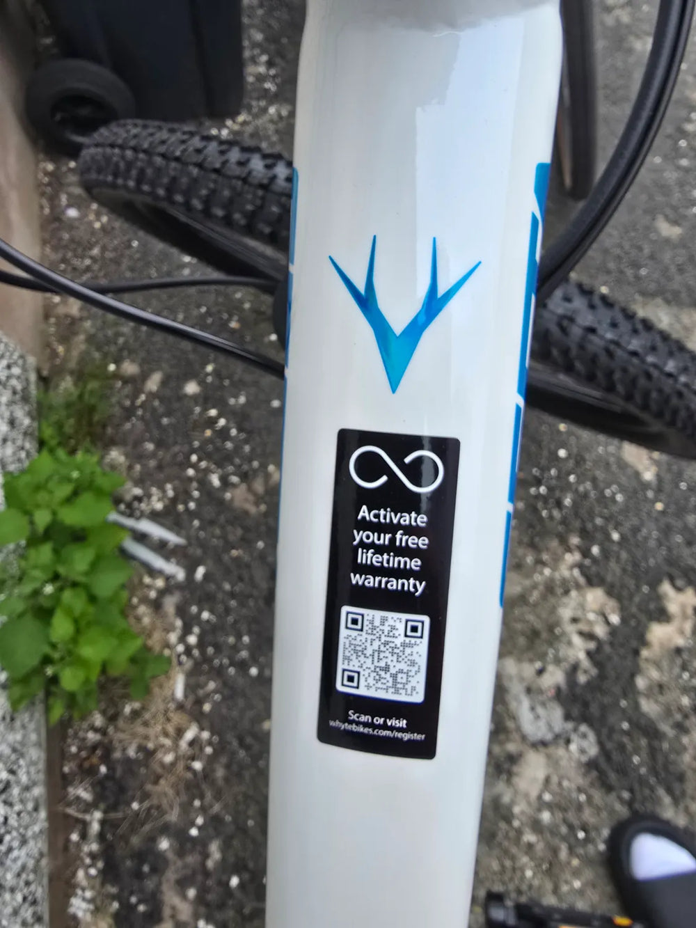 Whyte Secta R 2026