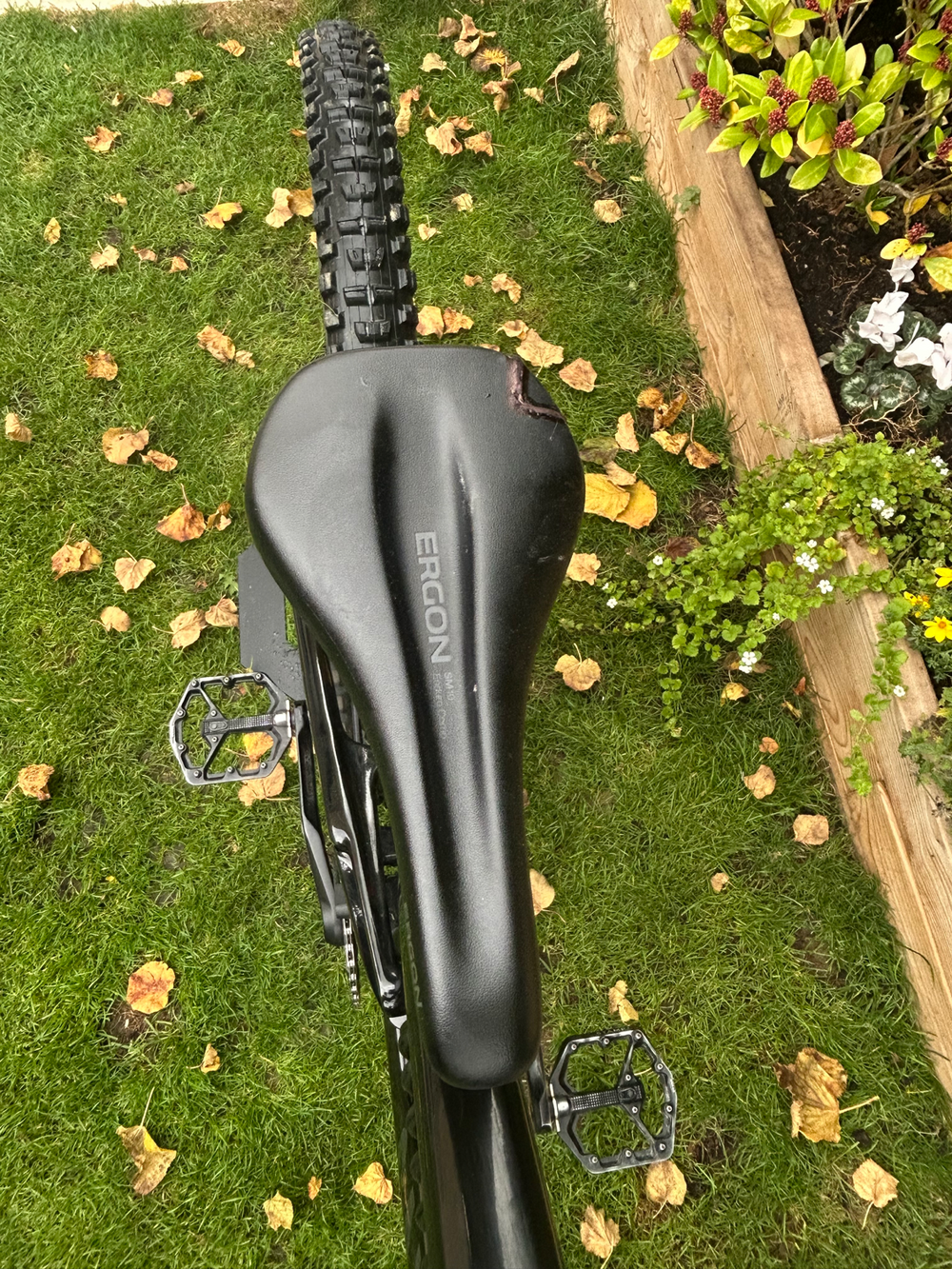 Canyon Torque Mullet CF 9 2023