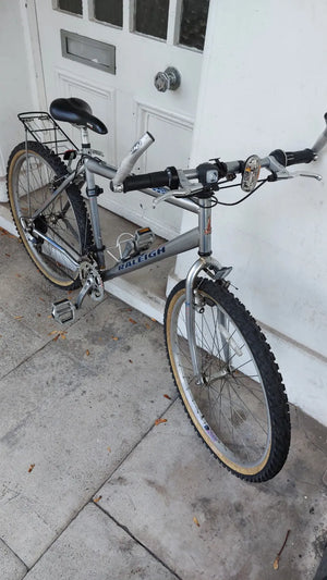 Raleigh MAX USA DESIGN