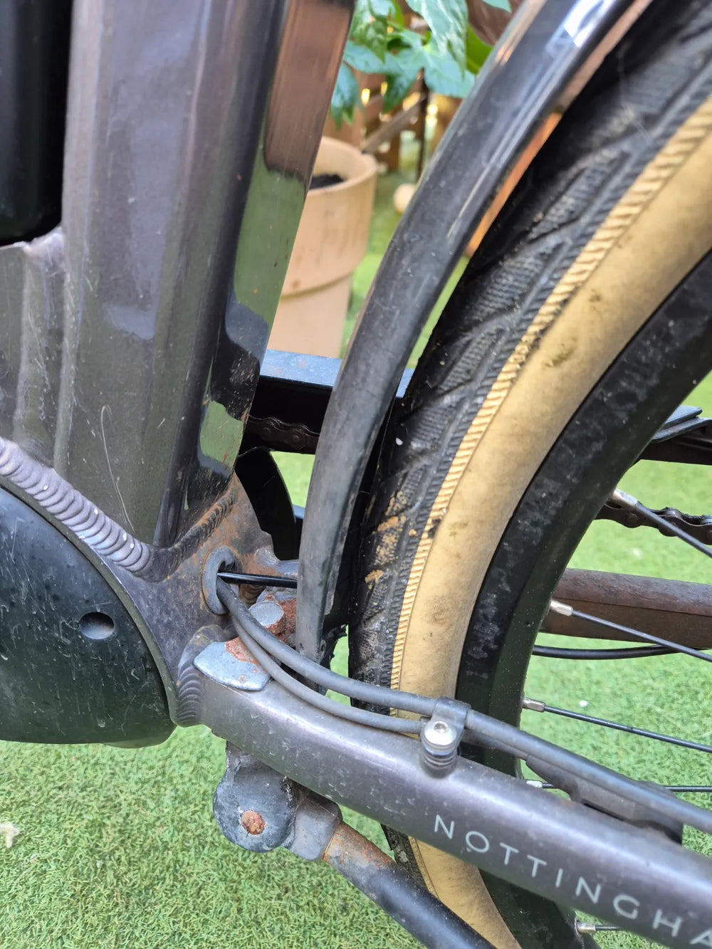 Raleigh Motus Ltd Lowstep Electric 2025