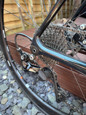 Giant TCR 2 2024