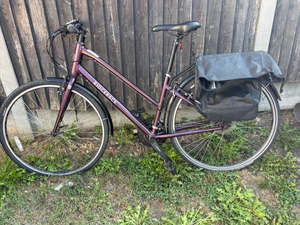Ridgeback Velocity 2021