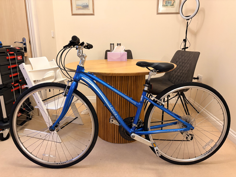 Raleigh Voyager 2 0 2020
