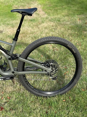 Specialized Stumpjumper Comp Carbon 29 2019