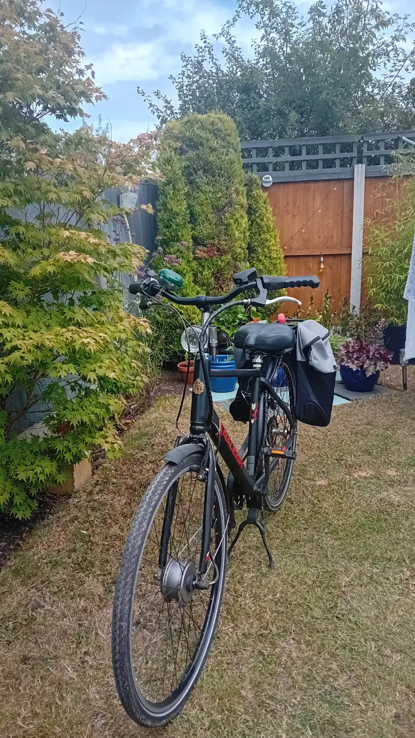 Raleigh Array Crossbar 2021
