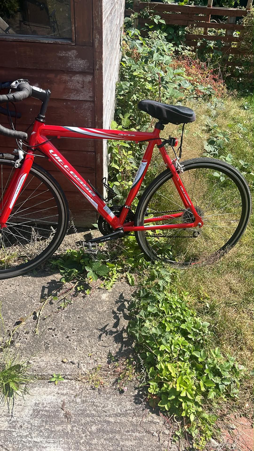 Utellisa Road bike  2021