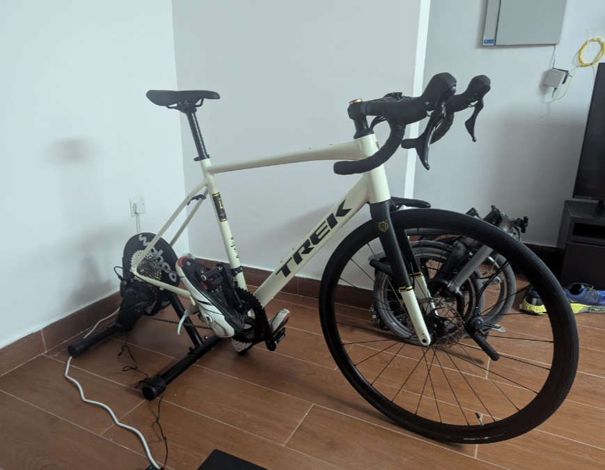 Trek Domane AL 4 Gen 4 2024