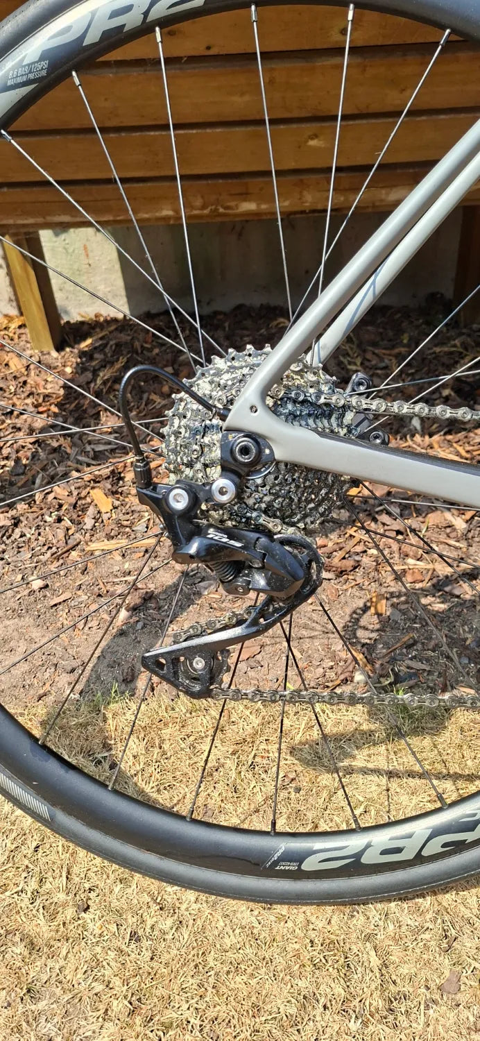 Giant Defy Advanced 2 2019