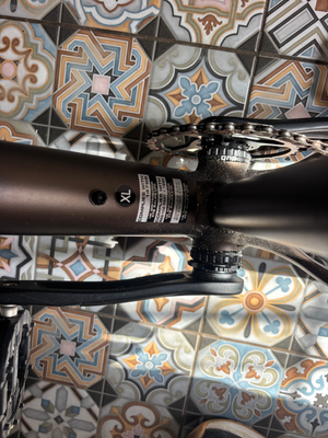 Whyte 901 2024