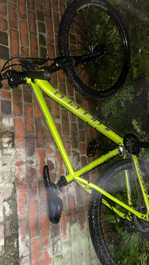 Carrera Vengeance