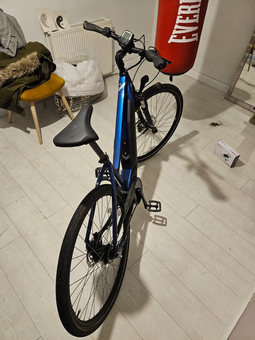 Bergamont Belami N8 2020