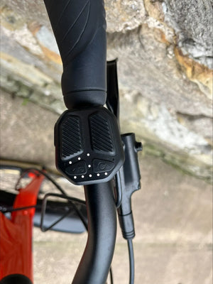 Momentum Vida E+ Low -Step 2024