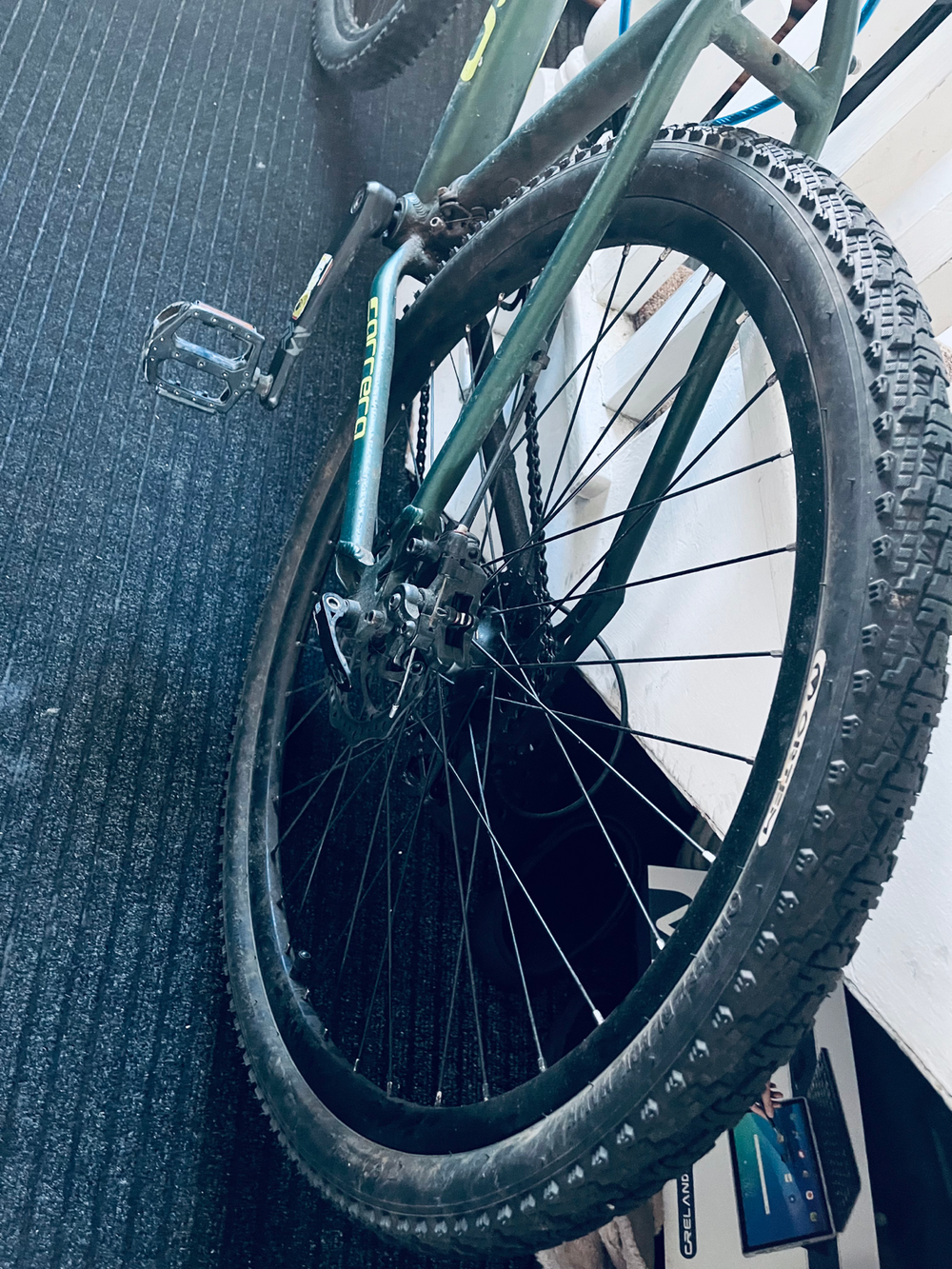 Carrera Vengeance , 2024