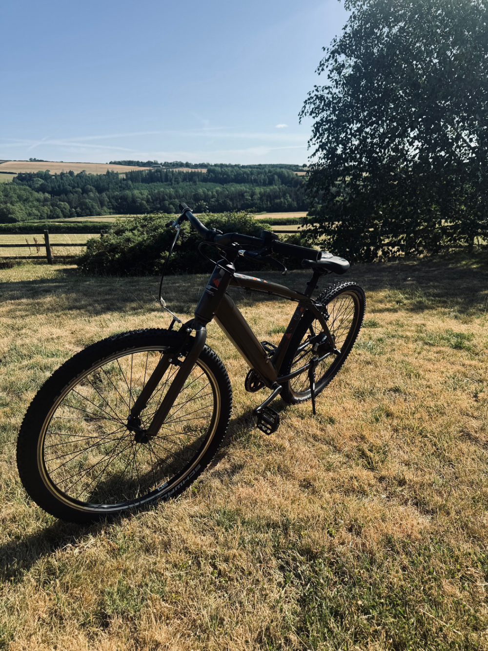 Carrera impel 1.1 2022