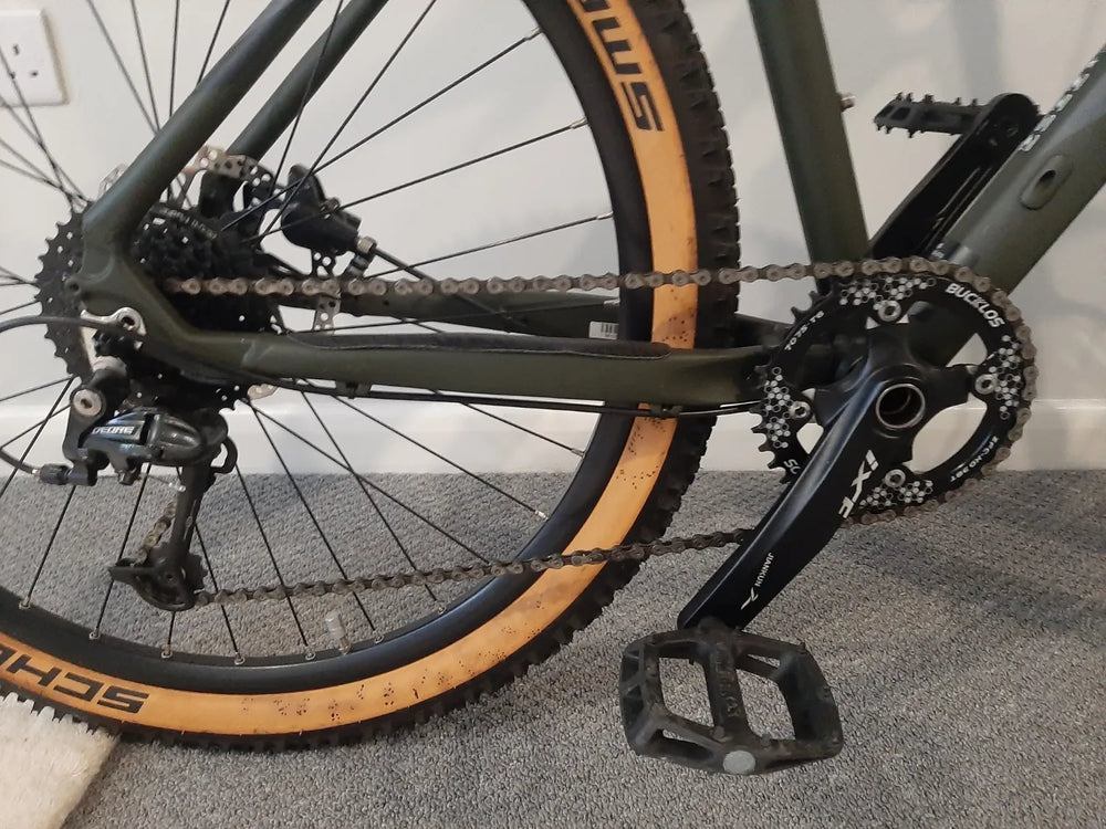 Serious cycles Global  Shoreline  2021