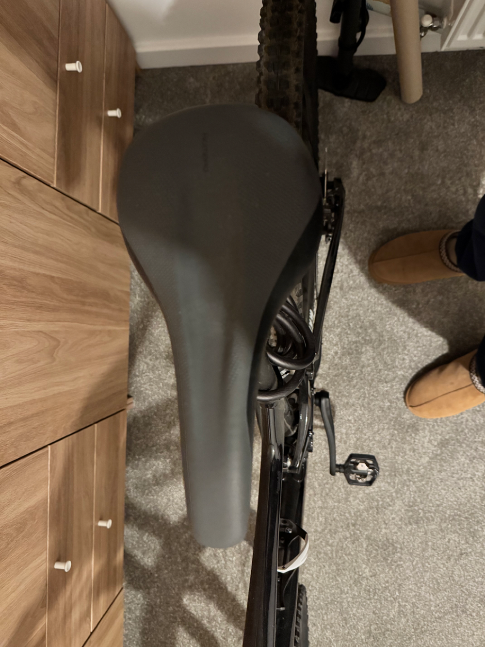 Giant Stance 29 1 2024