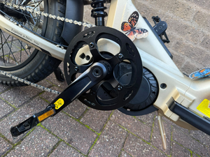 Engwe Engine L20 3.0 pro