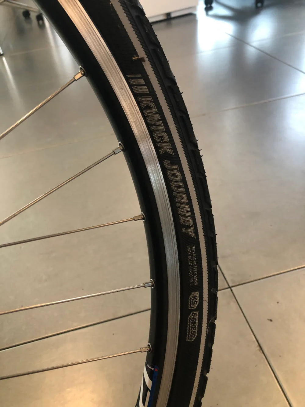 Ridgeback Avenida 7 2024