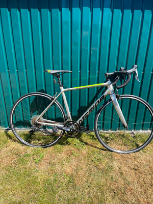 Merida Scultura Rim 100 2024