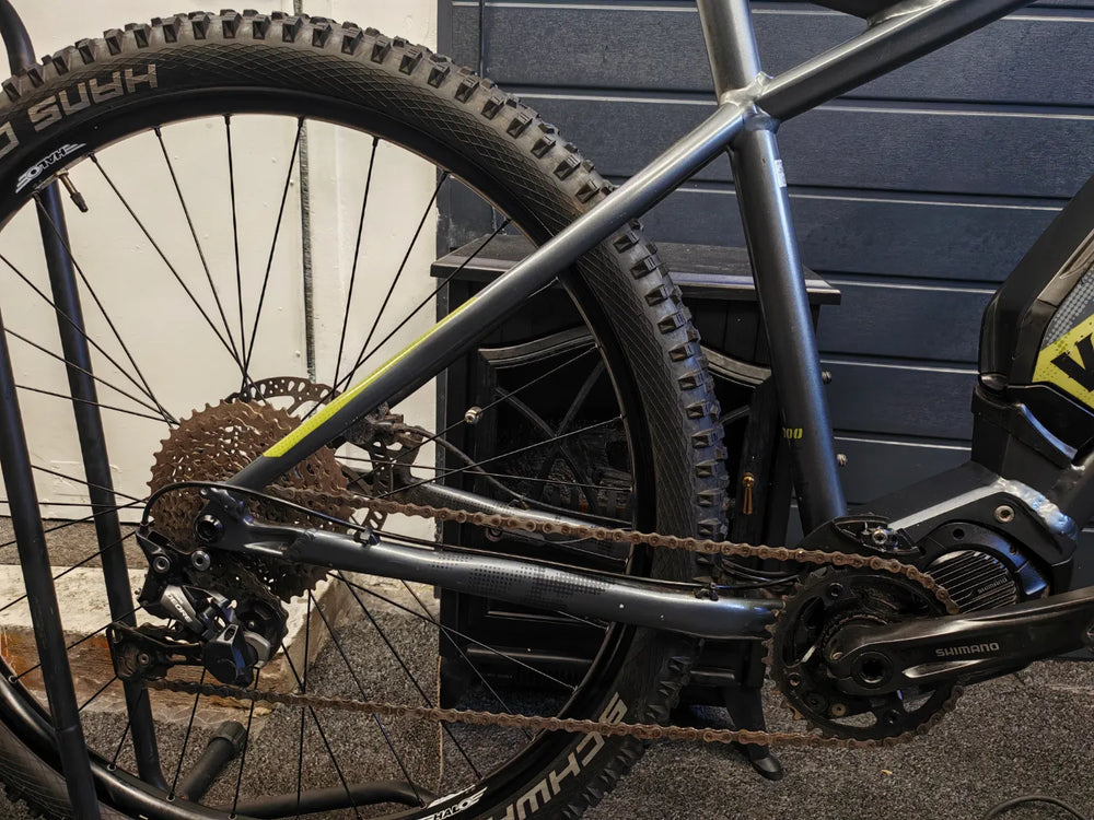 Voodoo Bizango E 2025