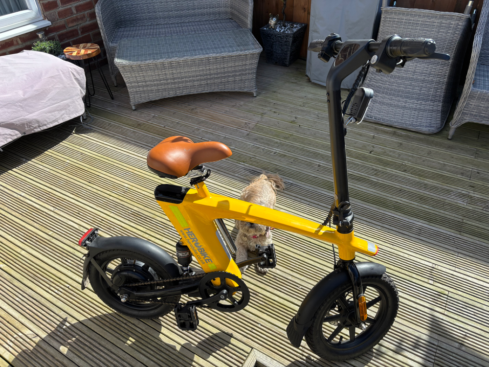 Hero Ebike 2025